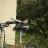 Bird on a Bike