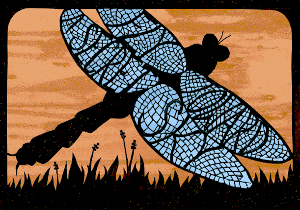 Fly Toward a Secret Sky