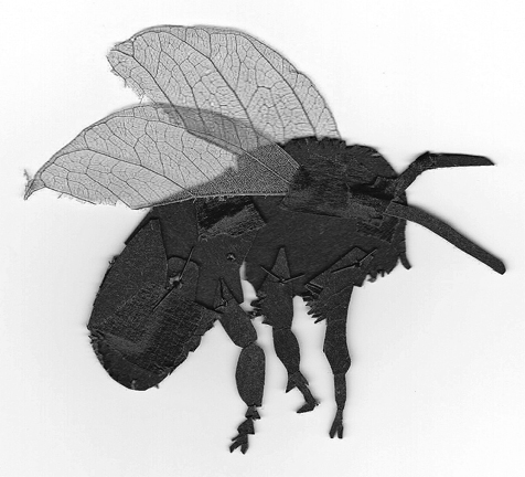 Bee Shadow Puppet