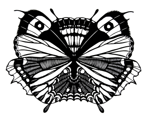 Facets II Butterfly Wings Paper Cutting