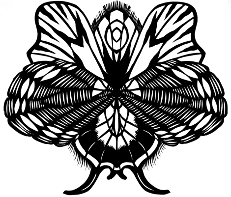 Facets V Butterfly Wings Paper Cutting