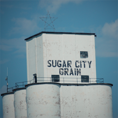 sugarcity