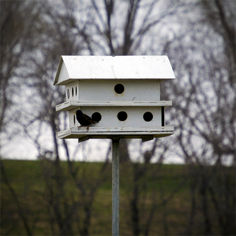 birdhouse