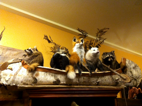 taxidermy4